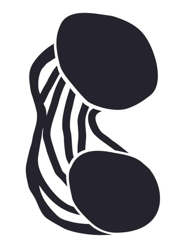 CORDA III