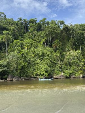 A PESCA SOLITÁRIA