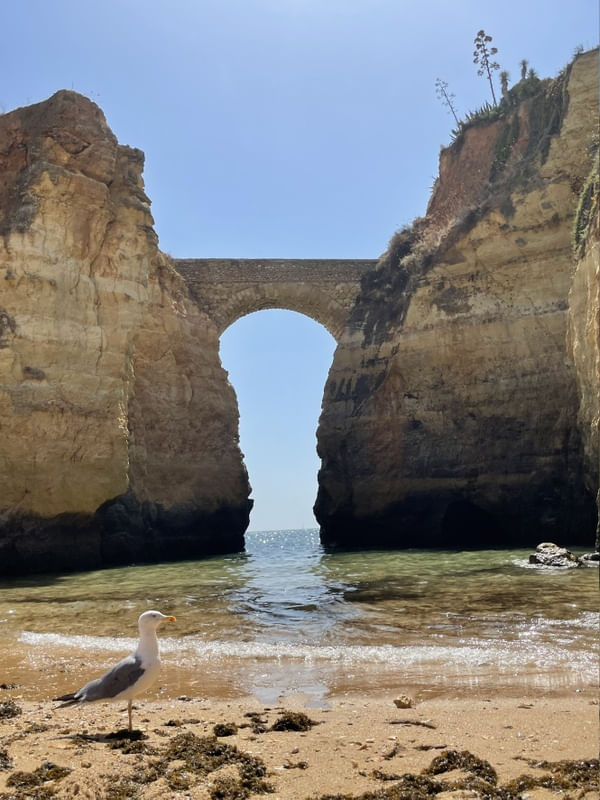 GAIVOTA - PRAIA DESERTA