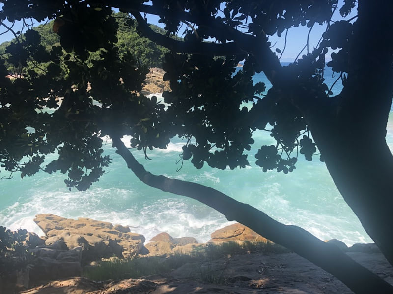 SOMBRA E ÁGUA FRESCA I