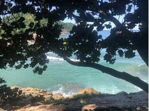 SOMBRA NO PARAÍSO
