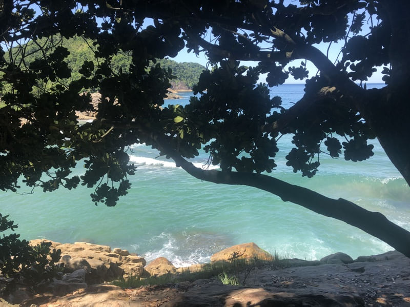 SOMBRA NO PARAÍSO