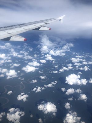 PAISAGEM RIO - SP