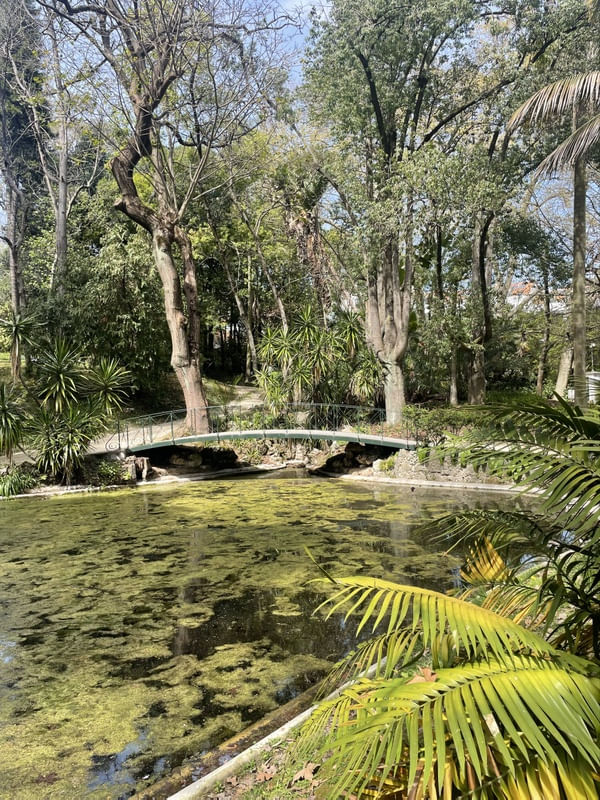 JARDIM E PONTE