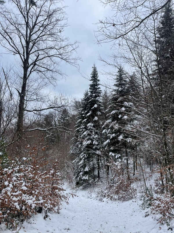 TREKKING NA NEVE