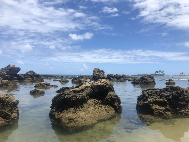 ILHA DE TINHARÉ - MORRO DE SÃO PAULO III