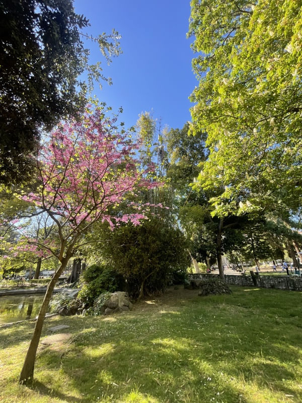 PARQUE EM LISBOA