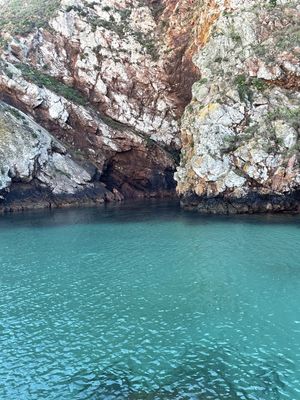 AZUL EXPLÊNDIDO