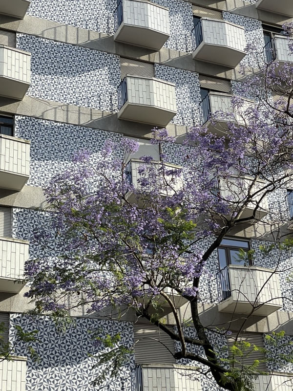 IPÊ E AZULEJOS EM LISBOA