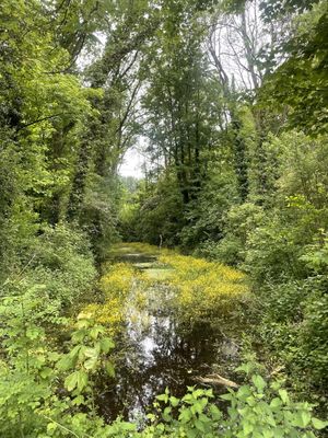 PARQUE EM LILLE - FRANÇA