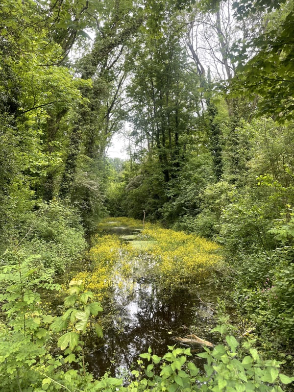 PARQUE EM LILLE - FRANÇA