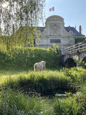 JARDIM ENCANTADO NA FRANÇA