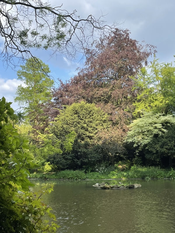 PARQUE EM LILLE NA FRANÇA