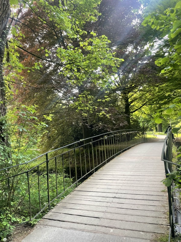 PONTE NO PARQUE DA BÉLGICA