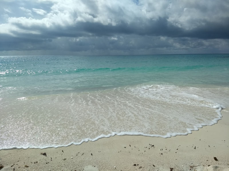 MAR DE CUBA