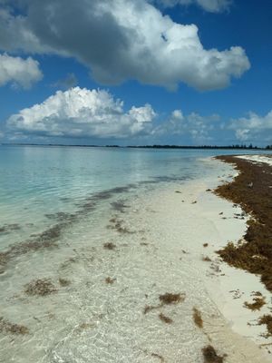 PRAIA DE CUBA
