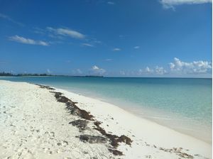 MAR DE CUBA II