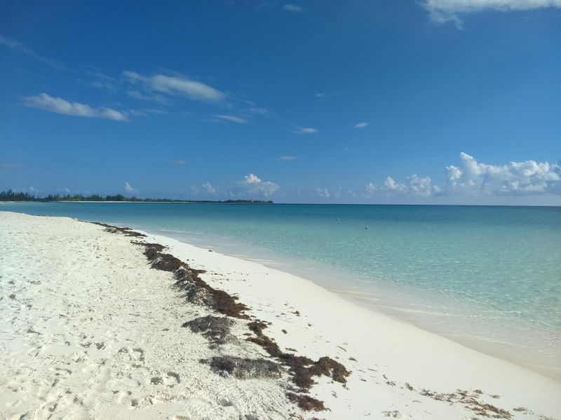 MAR DE CUBA II