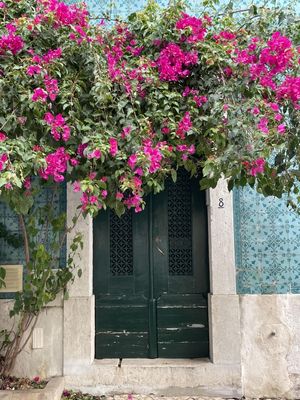 PORTA E AZULEJOS