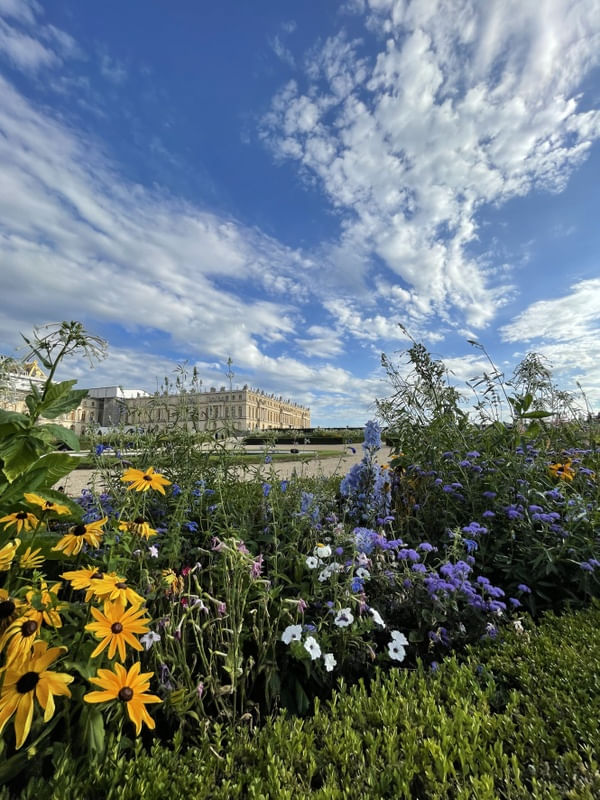 JARDIM COLORIDO DE VERSAILLES I