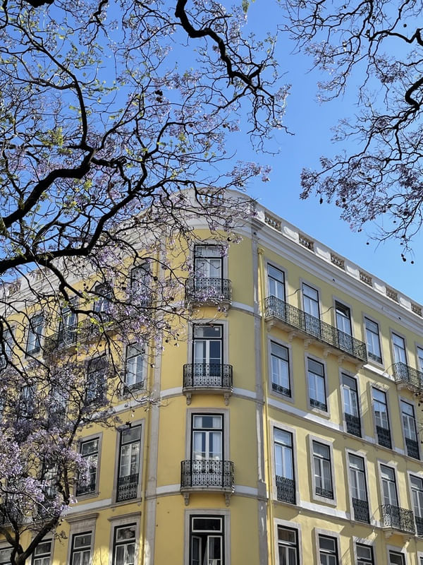 PRIMAVERA CANDY COLORS