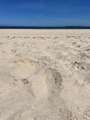 AREIA I