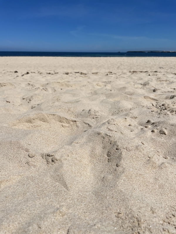 AREIA I