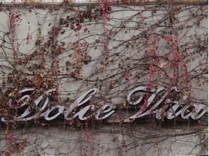 DOLCE VITA - RUHL STUDIO
