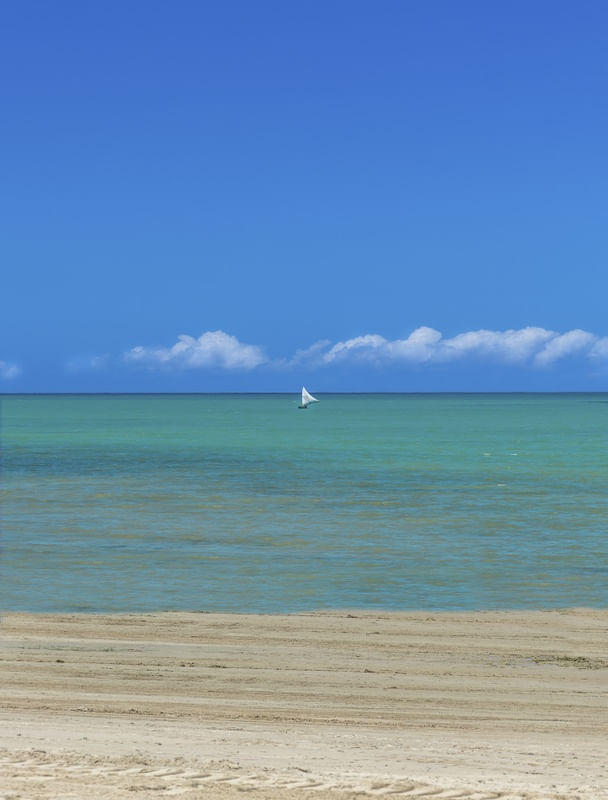O BARCO À VELA