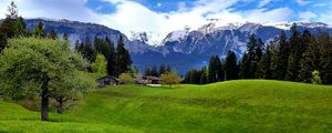 O BUCOLISMO DOS ALPES SUIÇOS
