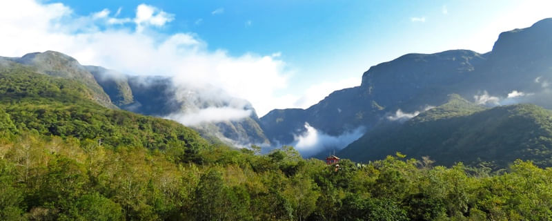 CÂNIONS DO SUL