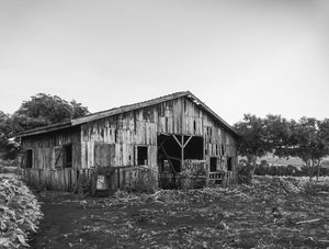 RUÍNAS DE MADEIRA