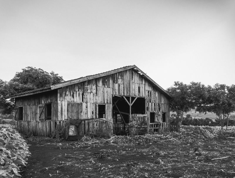 RUÍNAS DE MADEIRA