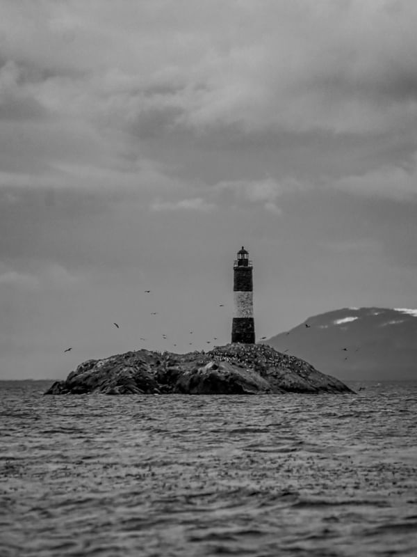 FARO LES ÉCLAIREURS SEM CORES