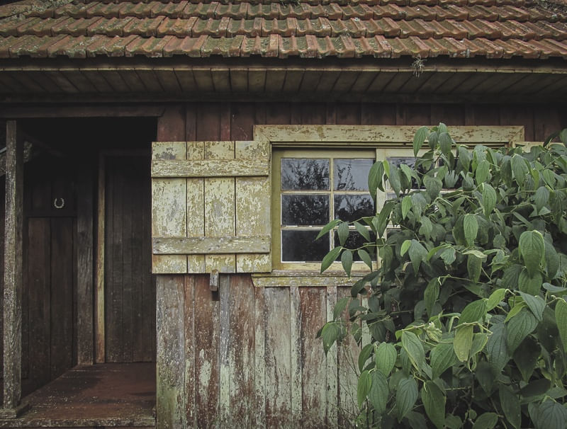 ARQUITETURA EM MADEIRA