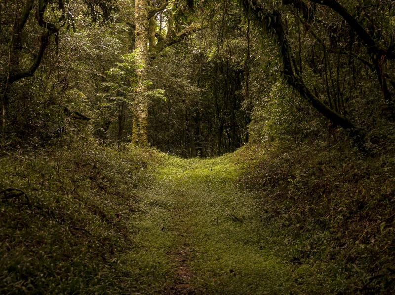 CAMINHO OCULTO