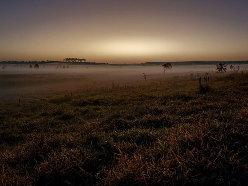 SUAVE AMANHECER