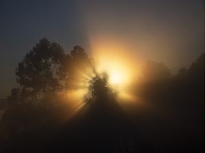 AMANHECER OCULTO