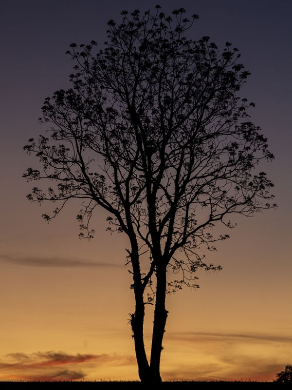 ENTARDECER DEGRADE