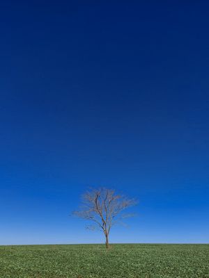 DRY LONELINESS