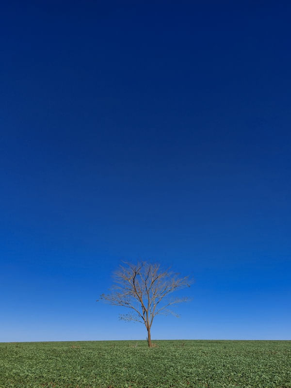 DRY LONELINESS