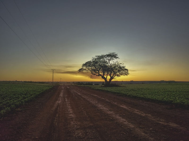 LIFE ON THE WAY
