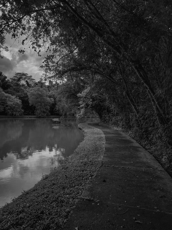 ENDLESS PATH
