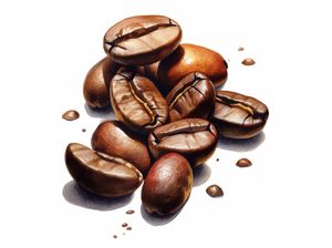 HARD COFFEE BEANS