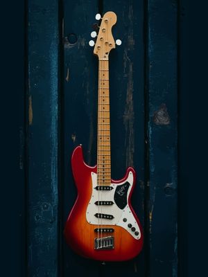 VECTOR BASS COLOR