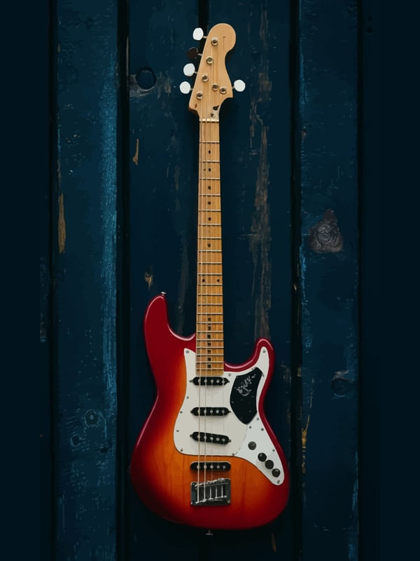 VECTOR BASS COLOR