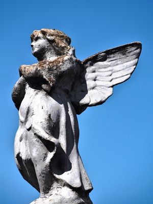 ANJO E CÉU