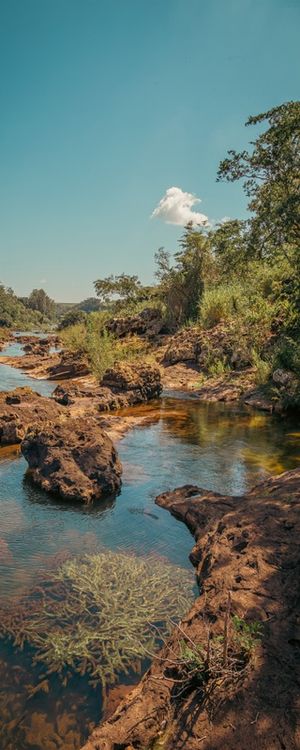 CORAIS DO PARAÍSO PIRAJÚ