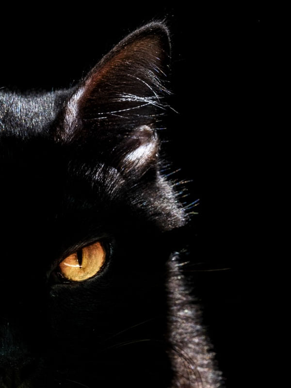 PRETO