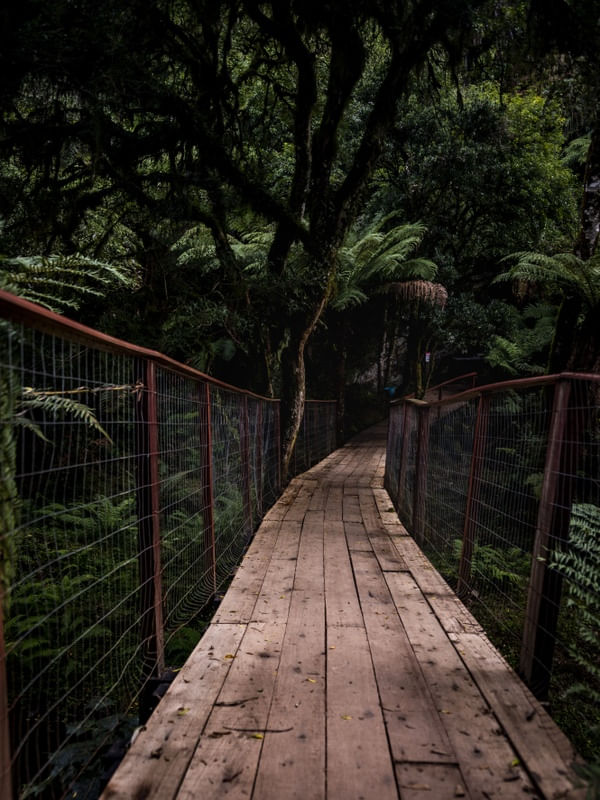 CAMINHO DA AVENTURA